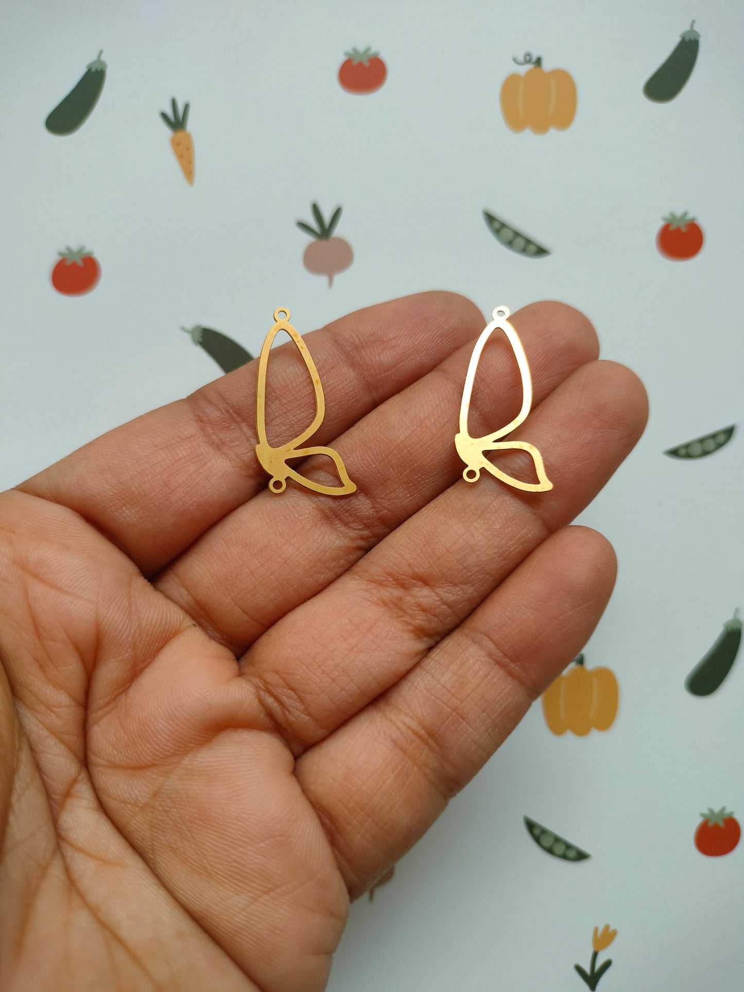 Butterfly Hollow wing