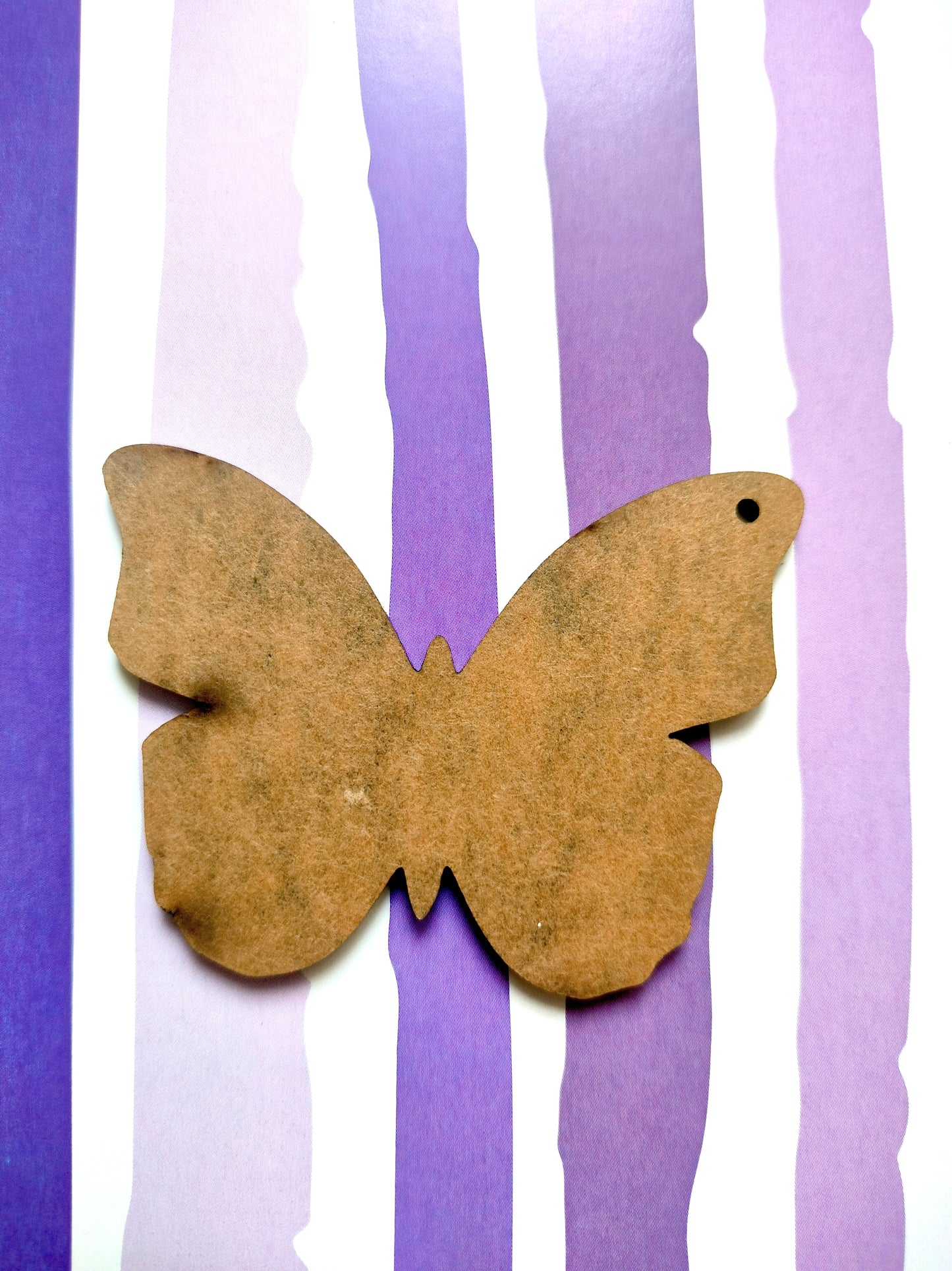 Butterfly Acrylic Cutout