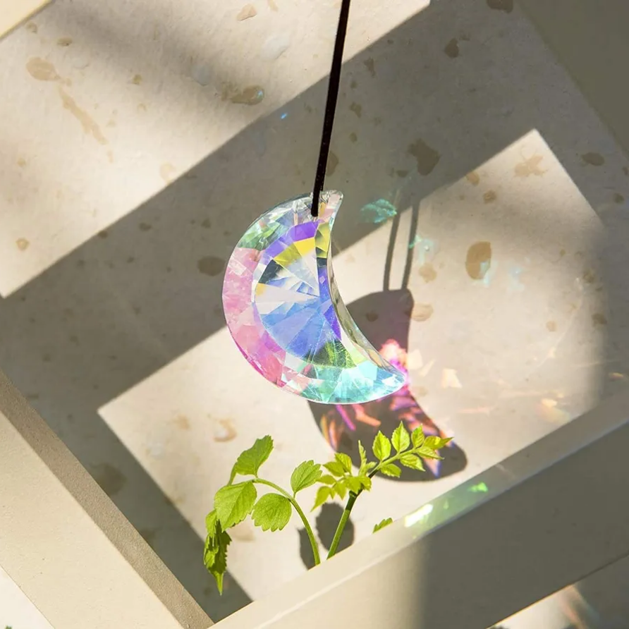 Wholesale Supplies The Crimson Store