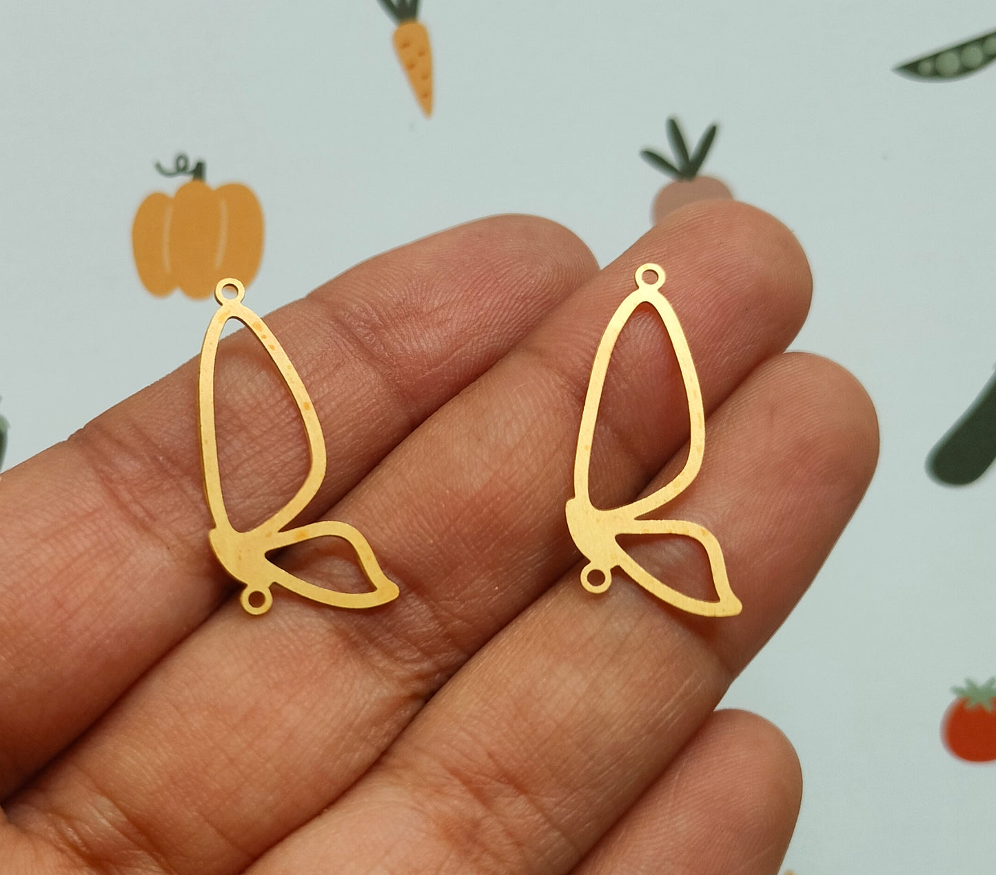 Butterfly Hollow wing