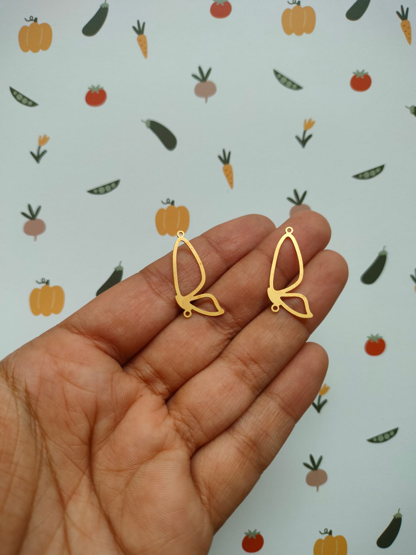 Butterfly Hollow wing